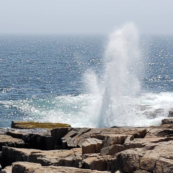 Meet your Posher, Leslie - Picture 3 of 9